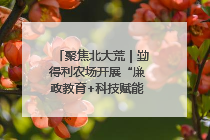 聚焦北大荒｜勤得利农场开展“廉政教育+科技赋能”主题党日活动