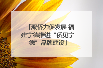 聚侨力促发展 福建宁德推进“侨见宁德”品牌建设