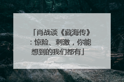 肖战谈《藏海传》：惊险、刺激，你能想到的我们都有