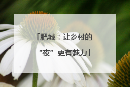 肥城：让乡村的“夜”更有魅力