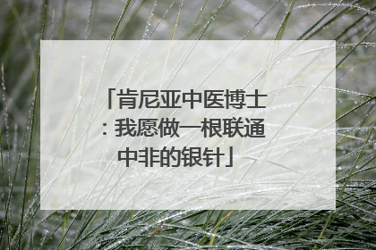肯尼亚中医博士：我愿做一根联通中非的银针