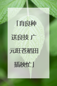 育良种 送良技 广元旺苍稻田插秧忙