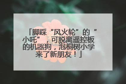 脚踩“风火轮”的“小吒”，可脱离遥控板的机器狗，泡桐树小学来了新朋友！