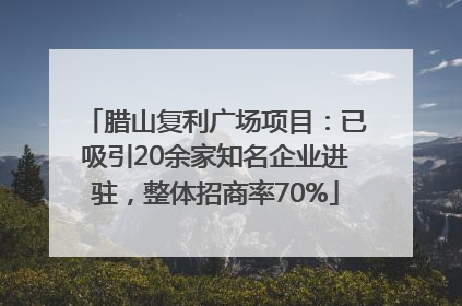 腊山复利广场项目：已吸引20余家知名企业进驻，整体招商率70%