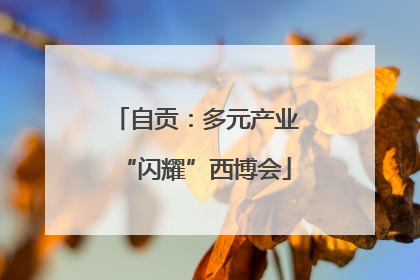 自贡：多元产业“闪耀”西博会