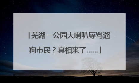 芜湖一公园大喇叭辱骂遛狗市民？真相来了……