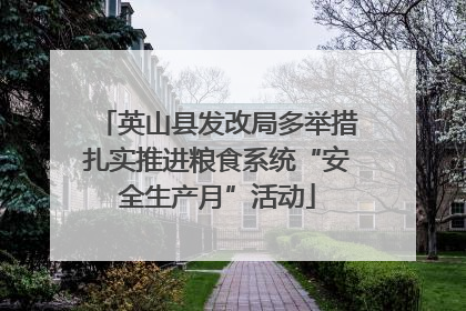英山县发改局多举措扎实推进粮食系统“安全生产月”活动