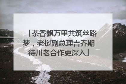 茶香飘万里共筑丝路梦，老挝副总理吉乔期待川老合作更深入
