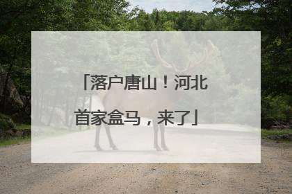 落户唐山！河北首家盒马，来了