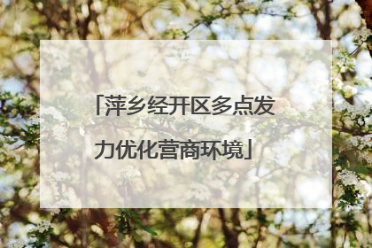 萍乡经开区多点发力优化营商环境