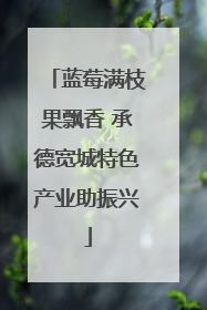蓝莓满枝果飘香 承德宽城特色产业助振兴