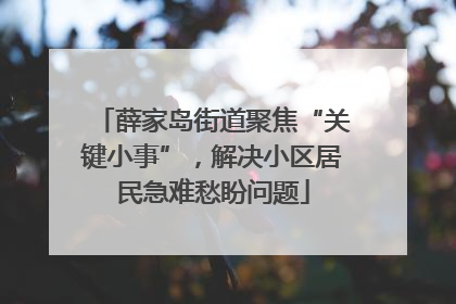 薛家岛街道聚焦“关键小事”，解决小区居民急难愁盼问题