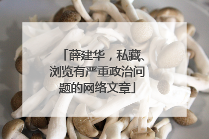 薛建华，私藏、浏览有严重政治问题的网络文章