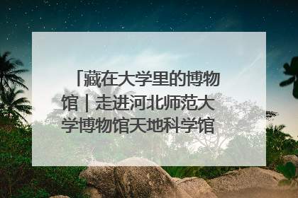 藏在大学里的博物馆｜走进河北师范大学博物馆天地科学馆：在校园里赴一场“宇宙之约”