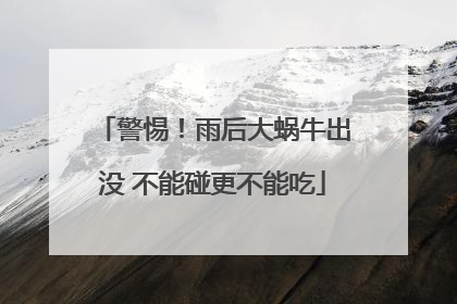 警惕！雨后大蜗牛出没 不能碰更不能吃