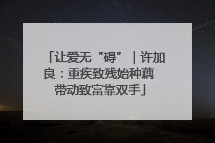 让爱无“碍”｜许加良：重疾致残始种藕 带动致富靠双手