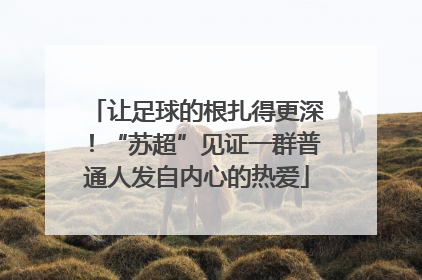 让足球的根扎得更深！“苏超”见证一群普通人发自内心的热爱