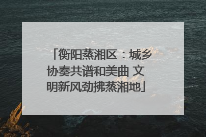 衡阳蒸湘区：城乡协奏共谱和美曲 文明新风劲拂蒸湘地