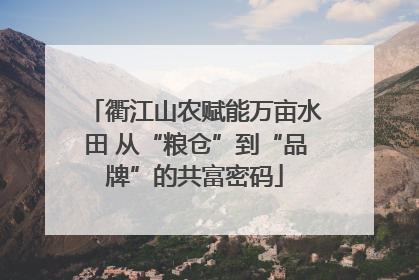 衢江山农赋能万亩水田 从“粮仓”到“品牌”的共富密码