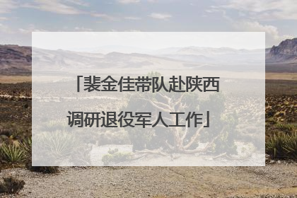 裴金佳带队赴陕西调研退役军人工作