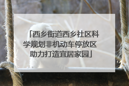 西乡街道西乡社区科学规划非机动车停放区 助力打造宜居家园