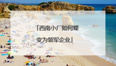西南小厂如何蝶变为领军企业