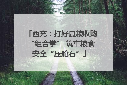 西充：打好夏粮收购“组合拳” 筑牢粮食安全“压舱石”