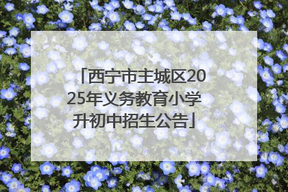 西宁市主城区2025年义务教育小学升初中招生公告