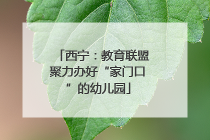 西宁：教育联盟聚力办好“家门口”的幼儿园