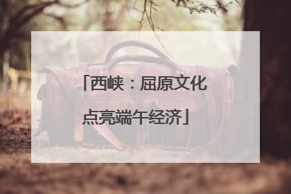 西峡：屈原文化点亮端午经济