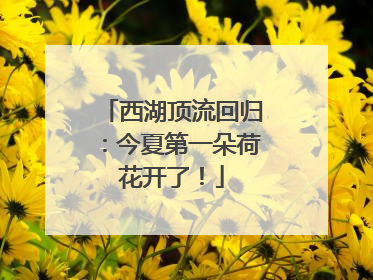 西湖顶流回归：今夏第一朵荷花开了！