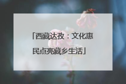 西藏达孜：文化惠民点亮藏乡生活