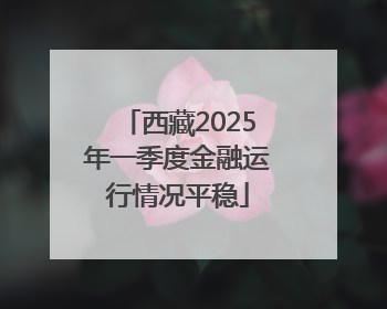 西藏2025年一季度金融运行情况平稳