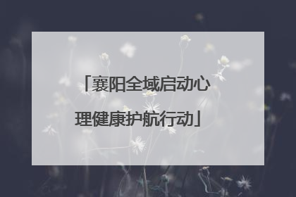 襄阳全域启动心理健康护航行动