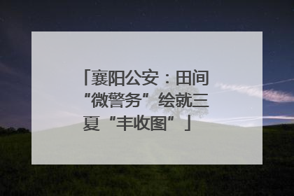 襄阳公安：田间“微警务”绘就三夏“丰收图”