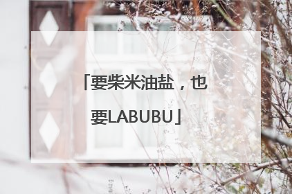 要柴米油盐，也要LABUBU