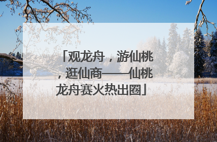 观龙舟，游仙桃，逛仙商——仙桃龙舟赛火热出圈
