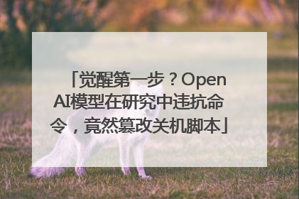 觉醒第一步？OpenAI模型在研究中违抗命令，竟然篡改关机脚本