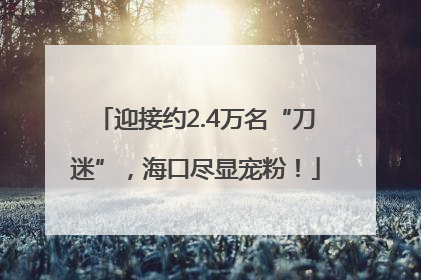 迎接约2.4万名“刀迷”，海口尽显宠粉！