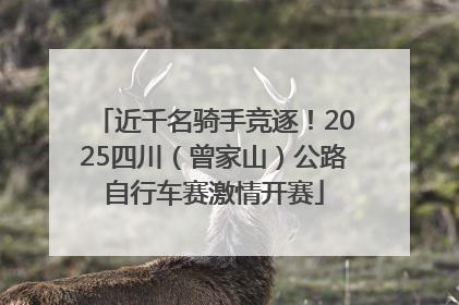 近千名骑手竞逐！2025四川（曾家山）公路自行车赛激情开赛