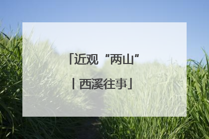 近观“两山”丨西溪往事