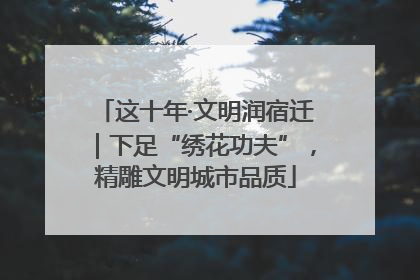 这十年·文明润宿迁｜下足“绣花功夫”，精雕文明城市品质
