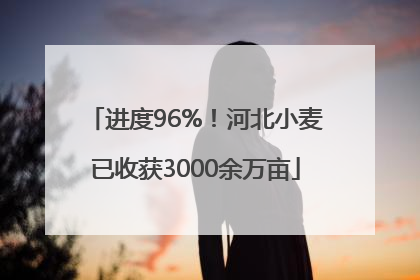 进度96%！河北小麦已收获3000余万亩