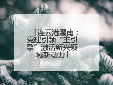 连云港灌南：党建引领“主引擎”激活新兴领域新动力