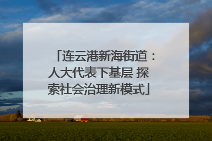 连云港新海街道：人大代表下基层 探索社会治理新模式