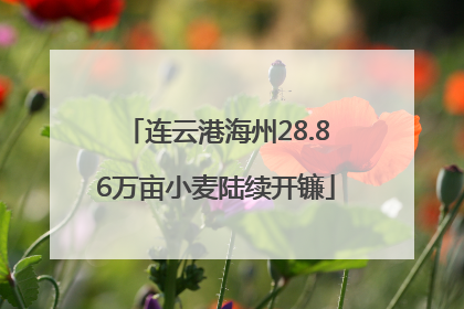 连云港海州28.86万亩小麦陆续开镰