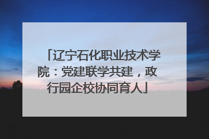 辽宁石化职业技术学院：党建联学共建，政行园企校协同育人