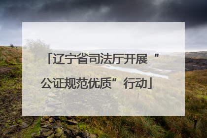 辽宁省司法厅开展“公证规范优质”行动