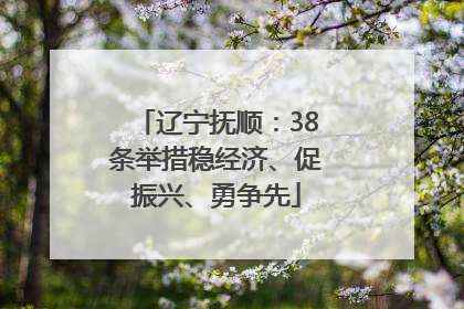 辽宁抚顺：38条举措稳经济、促振兴、勇争先