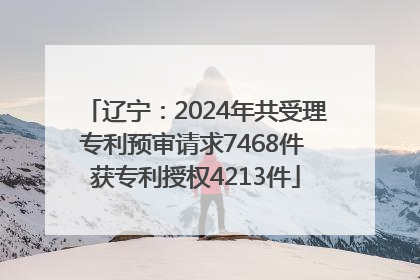 辽宁：2024年共受理专利预审请求7468件 获专利授权4213件